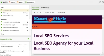 website auditor content editor