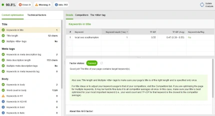 website auditor page audit