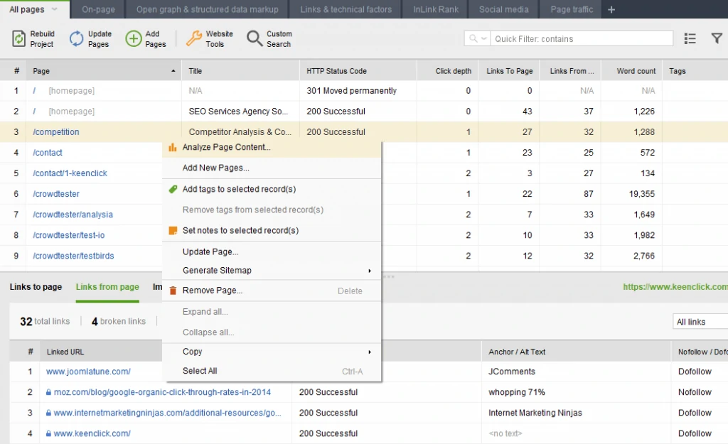website auditor pages
