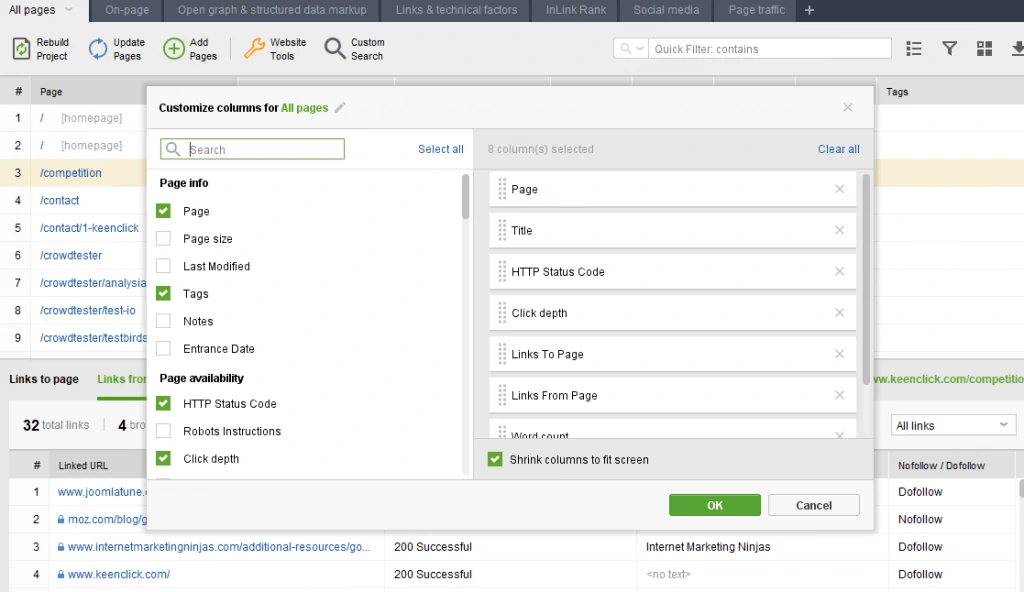 website auditor pages customise