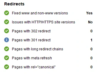 website auditor redirects